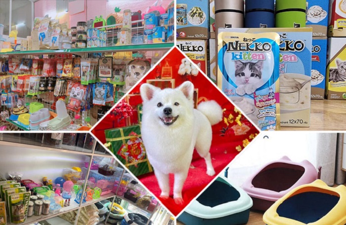 Cửa hàng cung cấp nhiều loại chó mèo chất lượng