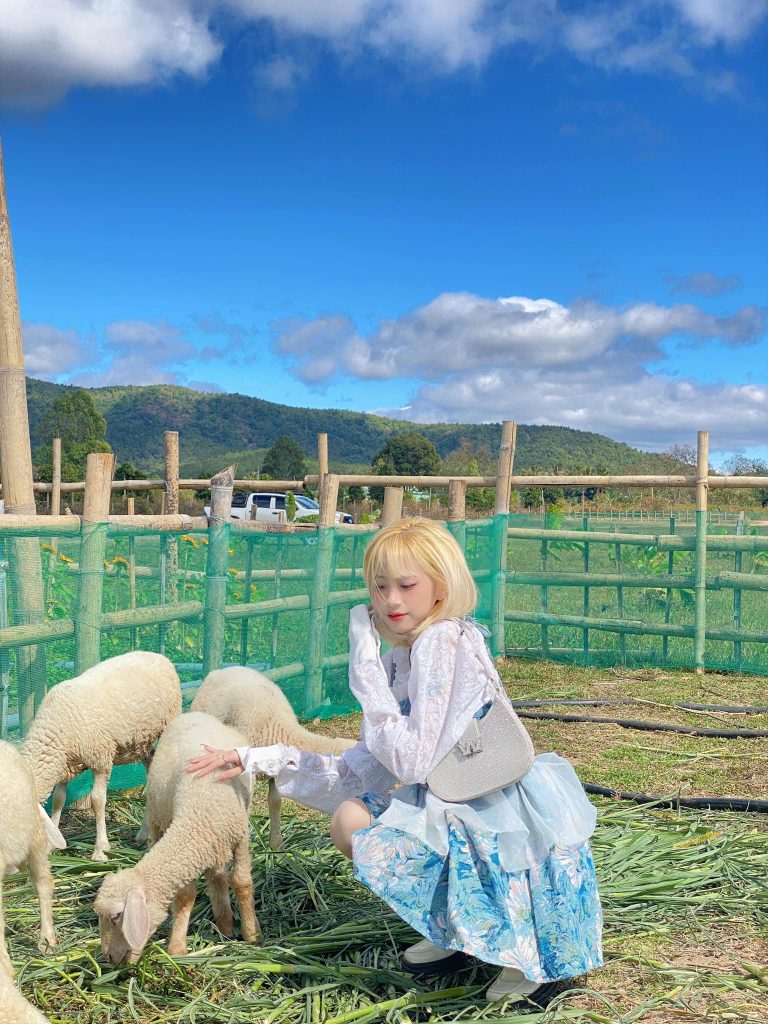 Đỗ Mai Lan - Sheep Farm Gia Lai
