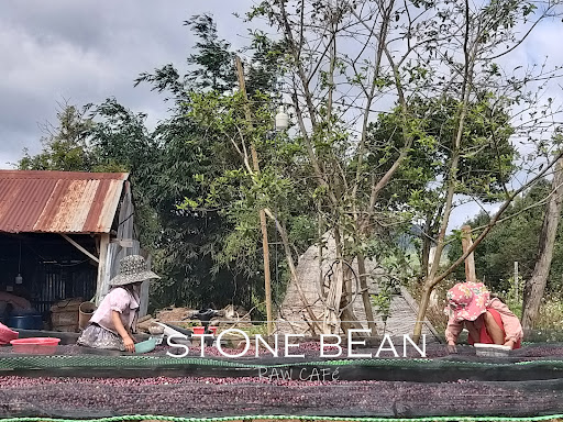stOne beAn – raw café